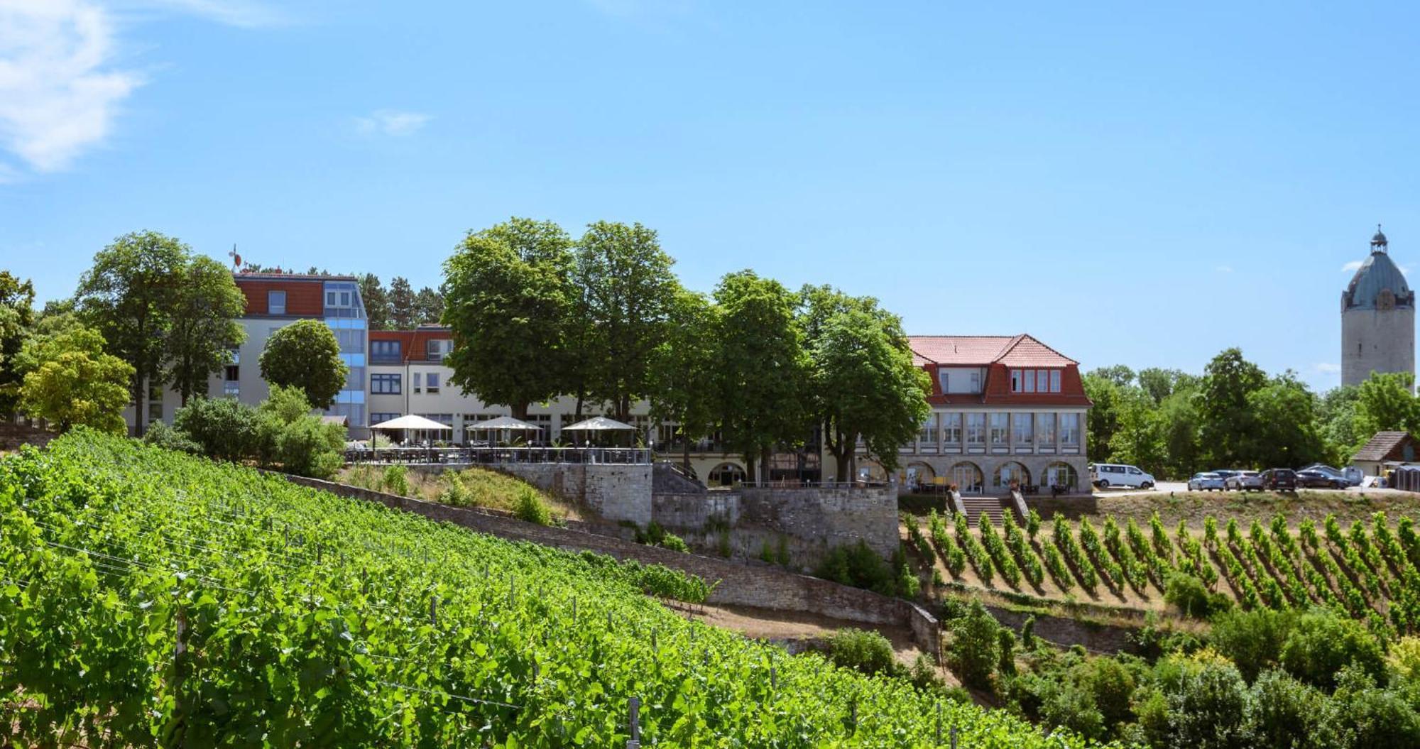 Weinberghotel Edelacker Freyburg Buitenkant foto